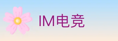 IM电竞 logo